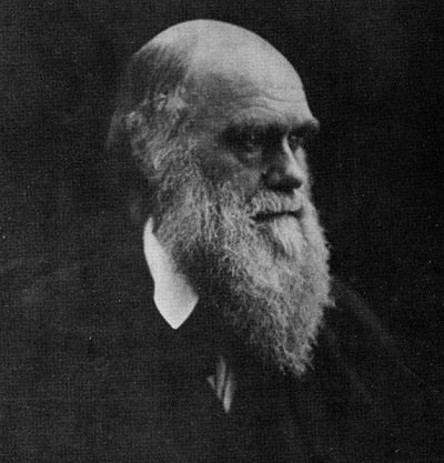 Chân dung Charles Darwin, một tác phẩm khác của Julia Margaret Cameron.