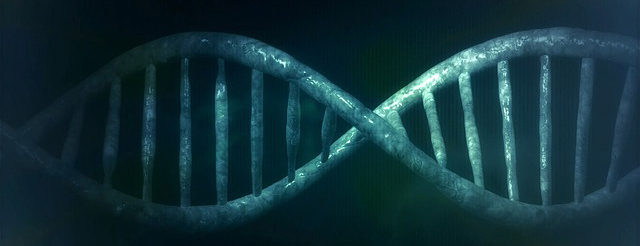 Giải mã gen chính là nhiệm vụ chính của Big Data.