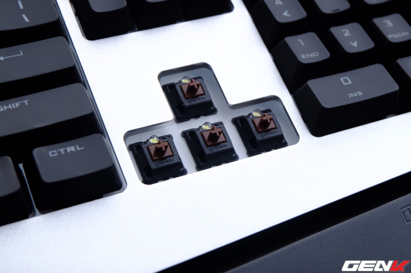 Phiên bản này sử dụng switch Cherry MX Brown, với đặc trưng là độ nảy nhưng không phát ra tiếng click như Blue switch. Mỗi switch đều được trang bị đèn LED trắng (full backlit).