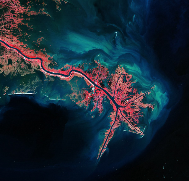 Đây là châu thổ sông Mississippi, nằm ở Vịnh Mexico. Cây cối được đánh dấu màu hồng, còn phù sa lắng đọng được đánh màu xanh dương nhạt và xanh lá.