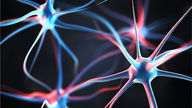  Mạng thần kinh nhân tạo có thể mô phỏng cách thức hoạt động của não người 