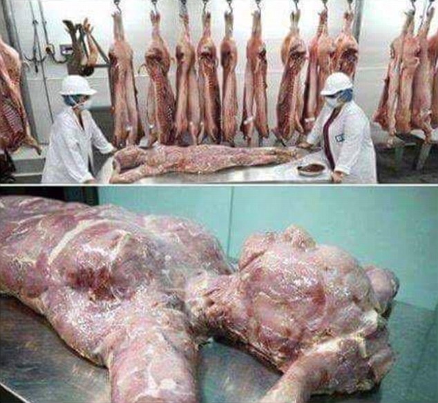  Nhiều người hoang mang vì tin đồn Trung Quốc xuất khẩu thịt người giả dạng thịt bò đóng hộp vào Zambia. Ảnh: Dailymail 