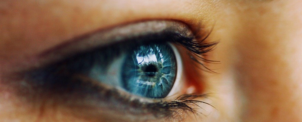  Cử động mắt này bị ẩn đi bởi sự chớp mắt thường xuyên, có tác dụng giúp ổn định hình ảnh tiếp nhận được bằng cách ‘reset’ mắt sau khi mắt di chuyển để nhìn một vật thể 