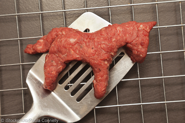 Thịt bò hay thịt ngựa?