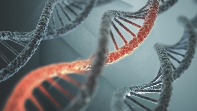 Công nghệ gen và di truyền vẫn còn rất nhiều điều cần khám phá.