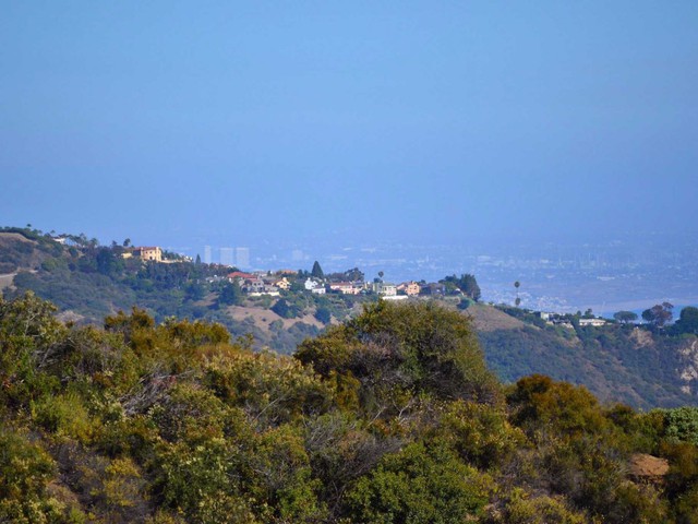 Spiegel grew up in the Pacific Palisades, a ritzy Los Angeles enclave just east of Malibu. He was the oldest son of two lawyers, though his parents divorced when he was in high school.