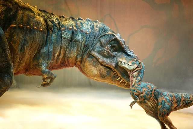 Chúng ta cần một con &quot;khủng long mẹ&quot; để có thể tạo ra một thế hệ khủng long mới.