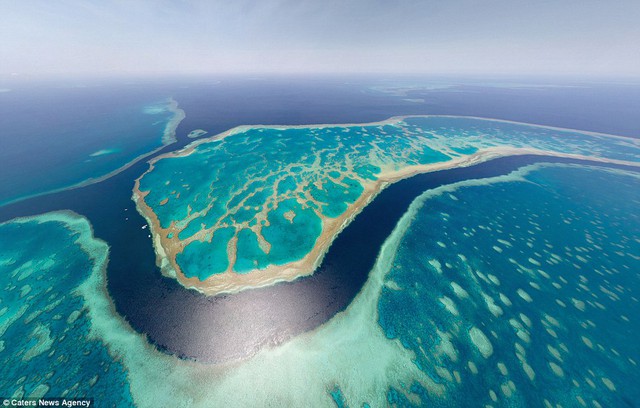 Bờ biển Barrier Reef tại Úc.