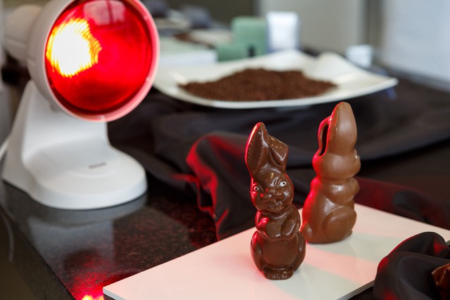 Các chú thỏ socola đặt dưới ngọn đèn nhiệt ở trung tâm sản xuất socola Barry Callebaut AG R&D ở Wieze, Bỉ.