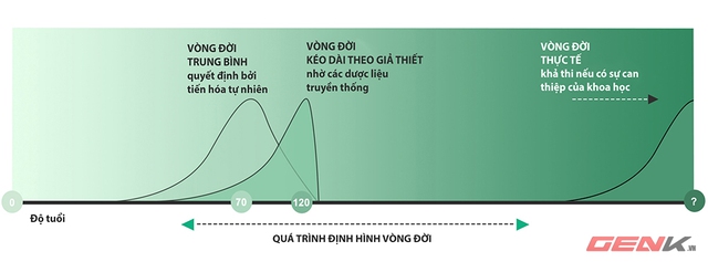 Vòng đời của con người sẽ có nhiều chuyển biến nhờ sự tác động của các loại dược liệu giúp kéo dài tuổi thọ.