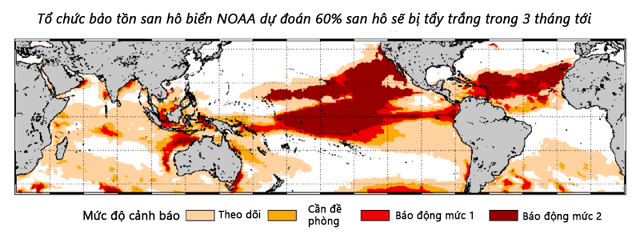  Nguy cơ san hô bị tẩy trẳng từ tháng 10/2015 đến tháng 1/2016. (Nguồn: NOAA) 