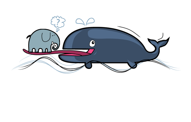 Cá voi hơn voi không chỉ ở chữ cá.