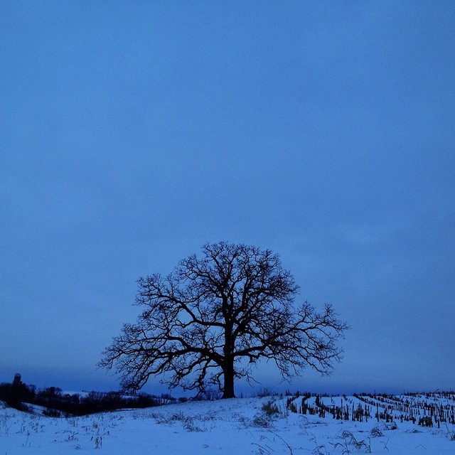 February 28, Day 342: 
