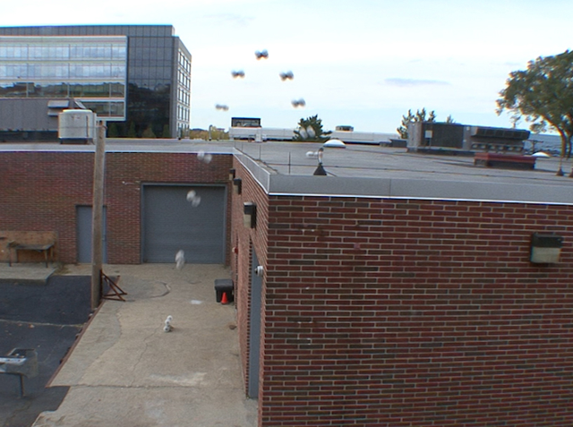 Pha nhảy từ dưới đất lên trên tầng một tòa nhà của robot Sand Flea.