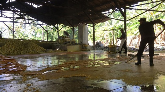 Một công nhân nhà máy đã đổ thùng lớn lưu huỳnh lỏng lên một sàn rộng. Ở đó, lưu huỳnh nhanh chóng đông cứng lại thành một lớp màu vàng sáng trên mặt sàn. 
