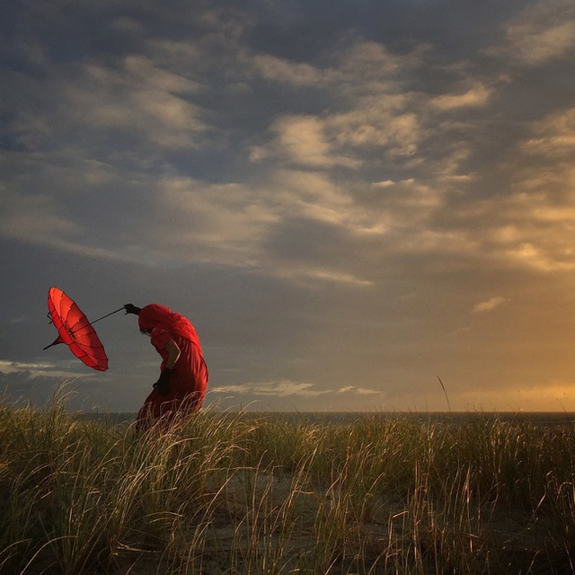 Hạng nhì thuộc về tác phẩm She Bends with the Wind của Robin Robertis tới từ California, Mỹ.