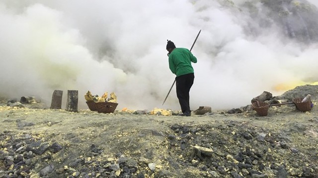  Bên cạnh hồ axit, hàng chục người đàn ông Indonesia sử dụng cực kim loại dài để phá vỡ từng khối màu vàng. Họ đang thu hoạch lưu huỳnh cứng từ bên trong núi lửa. 