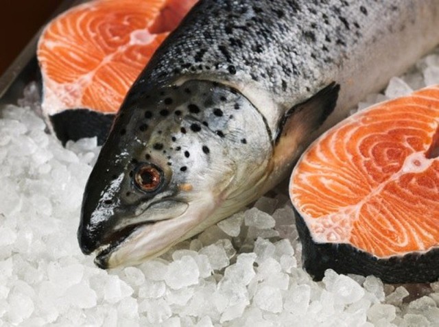  Các loài cá nước lạnh như cá hồi là một nguồn protein lành mạnh 
