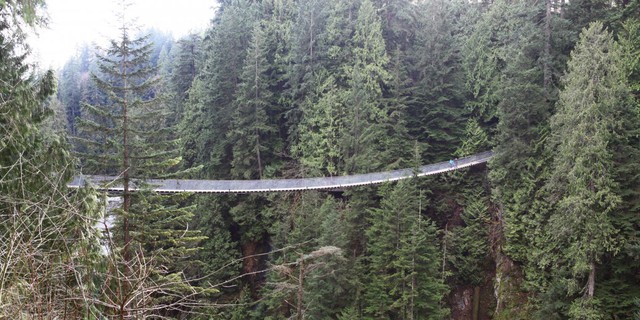  Nằm trong khu rừng ở Bắc Vancouver tại Canada, cầu treo Capilano là nơi hoàn hảo để bạn trải nghiệm cảm giác hãi hùng. 