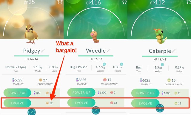  Weedle và Caterpie cũng vậy 