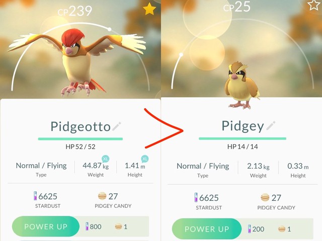  Tiến hóa Pidgey tốn rất ít kẹo 