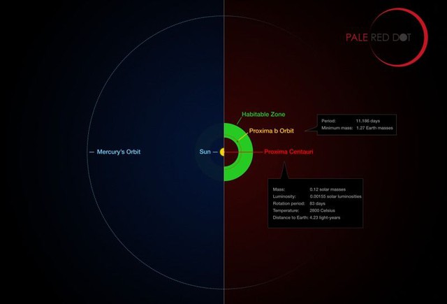  Hệ Mặt Trời (bên trái) so với Hệ của Cận Tinh (bên phải). Vùng xanh lá cây bên phải là vùng có thể duy trì sự sống của Cận Tinh, với quỹ đạo của Proxima b nằm trong đó. 