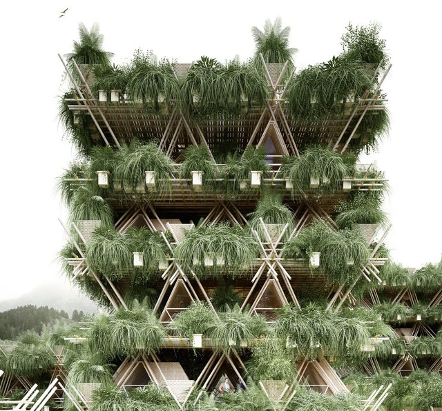  Khi đạt được nhiều tầng, căn nhà cây sẽ trông như một khu chung cư đầy các mảng xanh. 