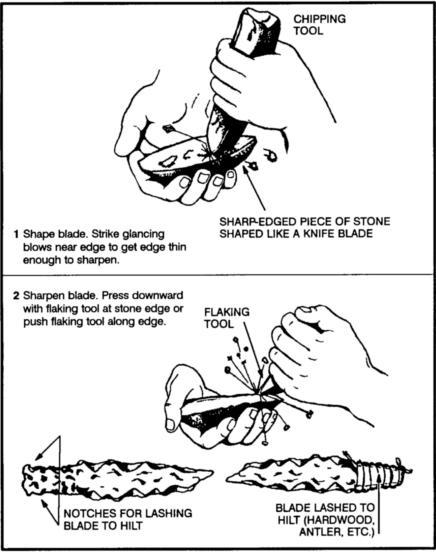 [Kỹ năng sinh tồn] Phần 4: Trôi dạt vào đảo hoang 8