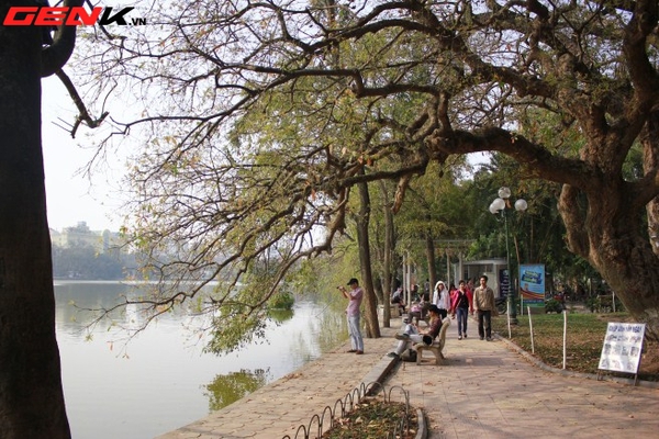 Những địa điểm chụp hoa tuyệt đẹp ở Hà Nội trong tháng Ba 11