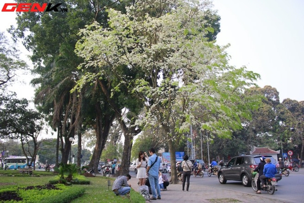 Những địa điểm chụp hoa tuyệt đẹp ở Hà Nội trong tháng Ba 22
