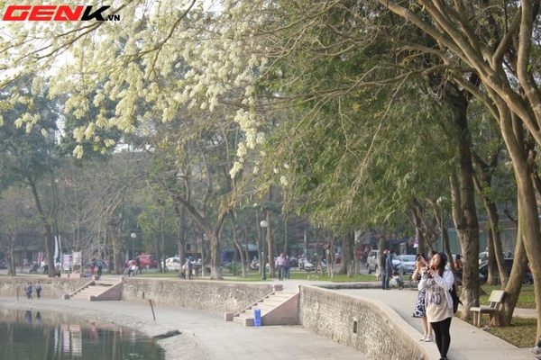 Những địa điểm chụp hoa tuyệt đẹp ở Hà Nội trong tháng Ba 28