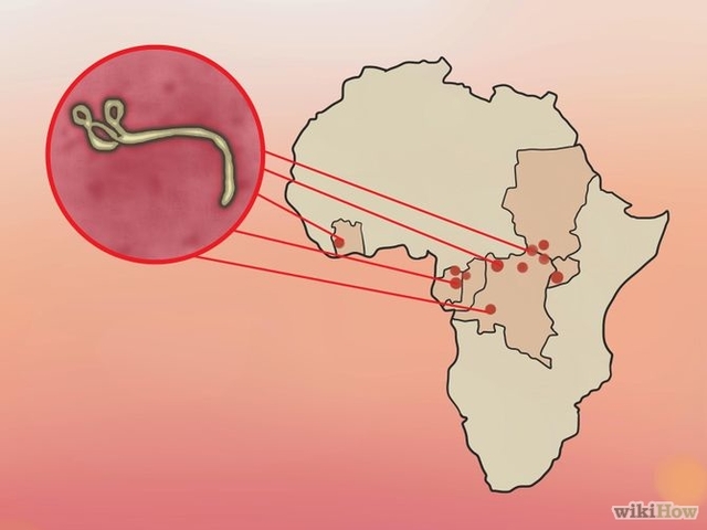 Ngăn ngừa Ebola Bước 2.jpg