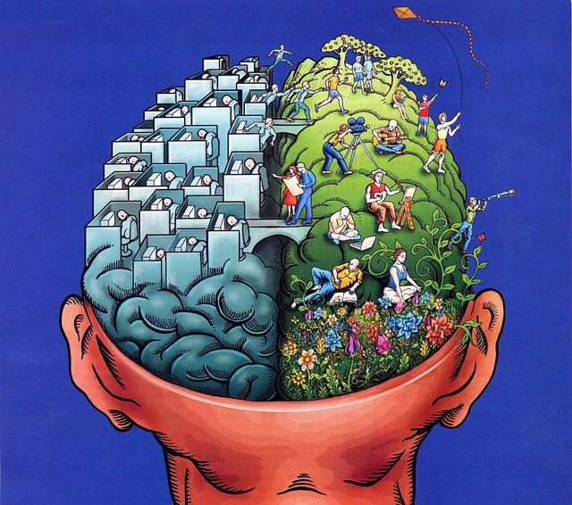 Khám phá mối liên hệ giữa kích thước bộ não và trí thông minh của con người