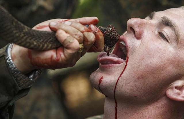 Các binh sĩ phải tập uống máu rắn để có thể sinh tồn trong nhiều điều kiện khắc nghiệt.