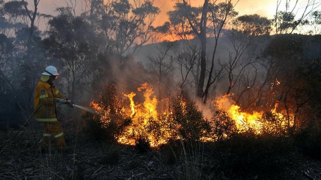 Nắng nóng cũng gây ra những đám cháy rừng nghiêm trọng ở khu vực đông nam Australia, khiến một người thiệt mạng và 52 ngôi nhà bị phá hủy.