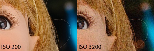 ISO 200 and ISO 3200 Comparison