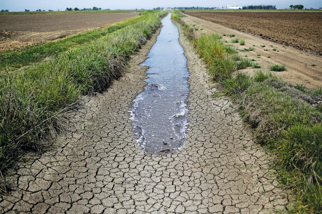  Nước thải được sử dụng cho nông nghiệp có thể đưa siêu vi khuẩn kết thúc hành trình trên thực phẩm của chúng ta 