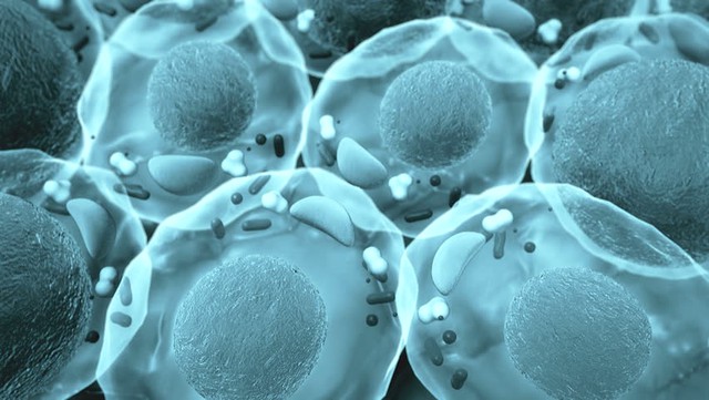  Trao đổi chất diễn ra bên trong mỗi tế bào 