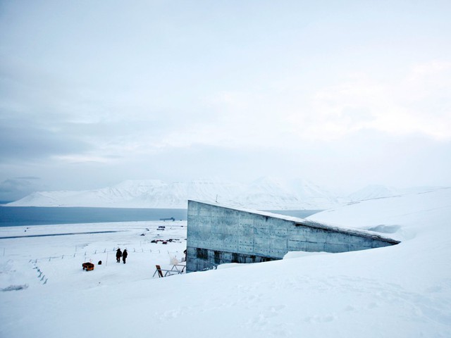  Vào năm 2015, ngân hàng hạt giống ICARDA ở Syria đã lấy lại hạt giống dữ trữ để khôi phục giống cây sau chiến tranh. Đây là lần lấy hạt giống ra khỏi Svalbard duy nhất tính đến nay. 