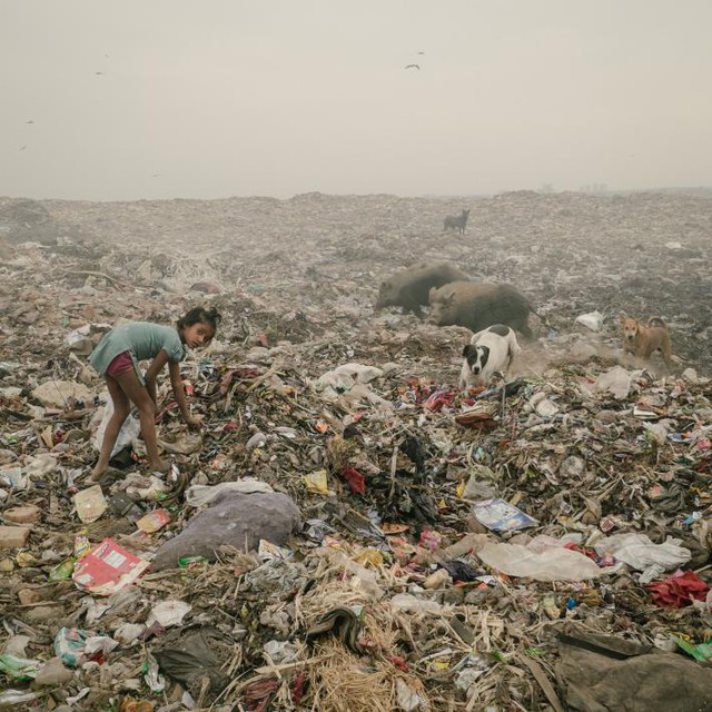  Bãi rác trải dài hàng dặm tại Bhalswa, Delhi, nơi một cô bé đang sục sạo tìm nhựa bán ve chai 