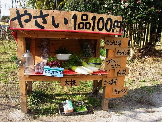  Tấm hình trong biển ghi dòng chữ: Rau giá 100 Yên/cây.Đây là cửa hàng của một người nông dân tại tỉnh Kagoshima, thuộc đảo Kyushu miền Nam nước Nhật - Ảnh: AiraKrisma. 
