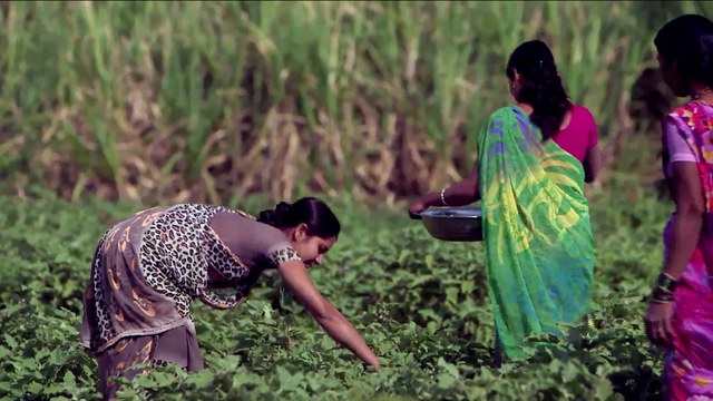  Những người phụ nữ ở ngoại ô Pune sẽ vẫn đi làm cho tới vài ngày trước khi sinh 