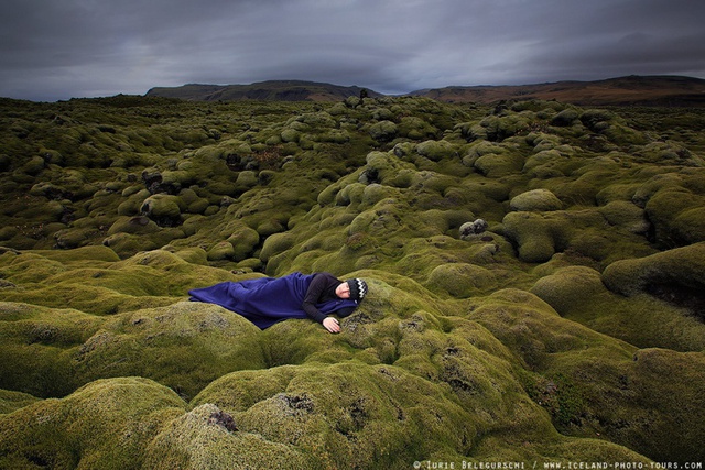 Được nằm ngủ trên những bãi thảm phủ rêu xanh phủ kín mít thế này thật yên bình (Ảnh: Iurie Belegurschi) 