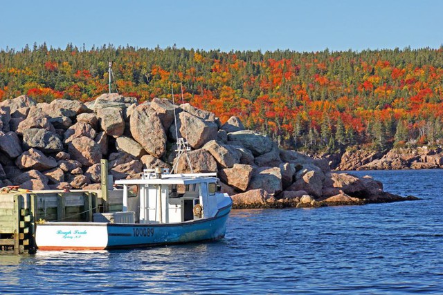 Thiên đường hạ giới tại Canada: Có ngay đất đai miễn phí và công việc ổn định, chỉ cần chuyển tới ở - Ảnh 4.