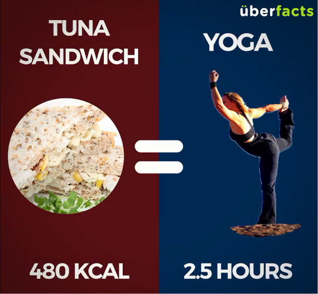 Sandwich cá ngừ (480Kcal) = Tập Yoga 2,5 tiếng 