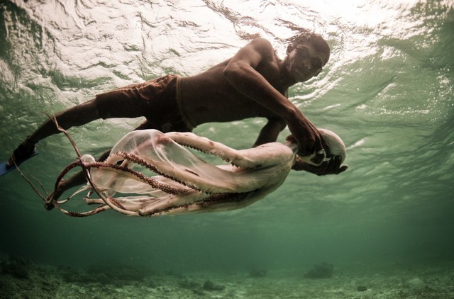  người Bajau có thể vô tư lặn sâu xuống 20-30m dưới đáy biển trong vòng 5 phút... 