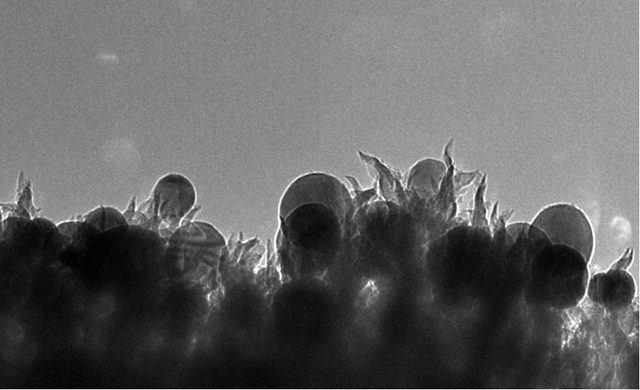  Những cột carbon dưới kính hiển vi. 