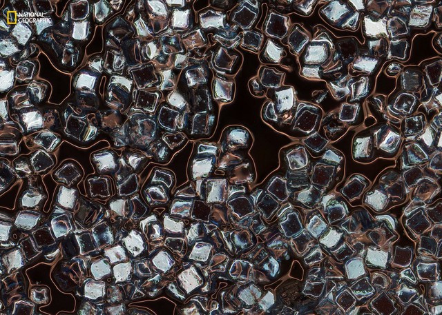  Đây là hình ảnh phóng đại của các hạt nhựa trong bút kẻ mắt. Mỗi khi chúng ta rửa các sản phẩm như thế này khỏi cơ thể hoặc vô tình ăn chúng như khi bạn liếm nhũ từ môi của mình, chúng ta cũng vô tình tiếp thêm hàng nghìn tỷ các hạt nhựa siêu nhỏ. Bức ảnh được chụp tại Đại học Falmouth ở Cornwall, Vương Quốc Anh vào tháng 5/2016, sử dụng một kính hiển vi chụp ảnh. 