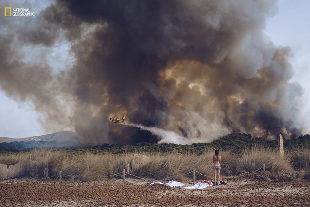  Một cô gái trẻ trong trang phục bikini đang nhìn máy bay chữa cháy rừng ở gần biển. Hình ảnh được ghi lại tại bãi biển Son Serra, trên đảo Mallorca vào ngày 18/8/2016. 