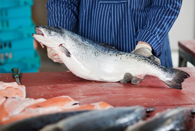  Người Bắc Âu ăn nhiều cá ít thịt, đó là bí quyết 